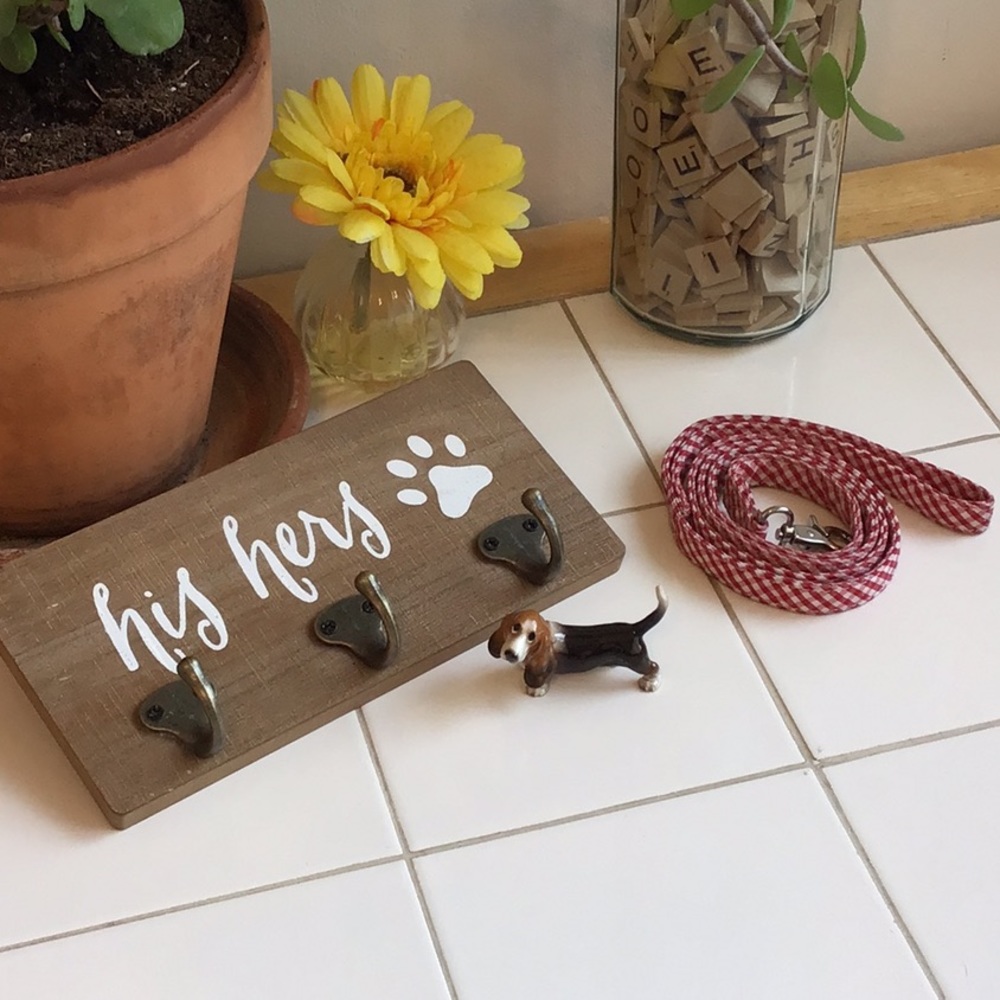 ‘NITYNP’ Cute Keys/Leash Wall Mount (#3)